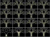 Particle convection and diffusion inside a tridimensional binary tree model of the human pulmonary acinus without membrane permeability 