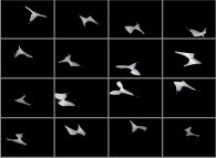 The 16 first patches of the tridimensional representation of a quadridimensional Calabi-Yau manifold 