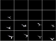 The 9 last patches of the tridimensional representation of a quadridimensional Calabi-Yau manifold 