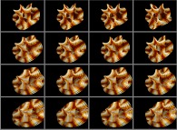 Rotation about the Y (vertical)axis of a tridimensional representation of a quadridimensional Calabi-Yau manifold that can also be viewed as a set of 4x3 stereograms 