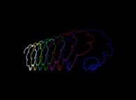 The 1.166.670 first digits of the Champernowne number (=0.1 2 3 4 5 6 7 8 9 10 11 12...)displayed as an 'absolute' bidimensional random walk using the square root of the distance to the origin 