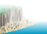 Foggy cliffs 