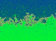 Fractal diffusion front in a bidimensional medium obtained by means of a random walk process 