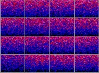 Cross-sections inside the density during a tridimensional diffusion process of 114299 particles 