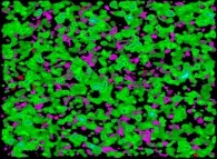 Visualization of the areas where the density is greater than 0.50 during a tridimensional diffusion process of 128312 particles 