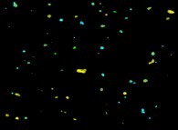 Visualization of the areas where the density is greater than 0.75 during a tridimensional diffusion process of 128312 particles 