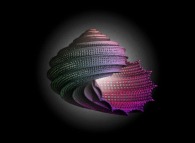 Vue impressioniste de l'escargot hypocycloïdal de Jeener 