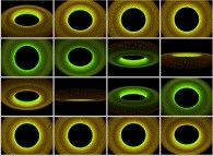 Tridimensional visualization of a bidimensional turbulent flow 