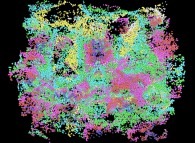 Tridimensional fractal structure 