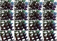 A set of 4x3 stereograms of a tridimensional interpolation between a fractal structure and a cubic mesh 