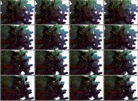 A set of 4x3 stereograms of a tridimensional interpolation between a fractal structure and a cubic mesh 