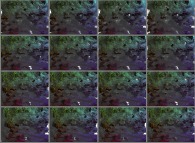A set of 4x3 stereograms of a tridimensional fractal structure -the space-time foam?- 