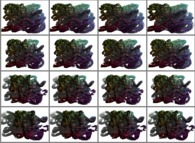 A set of 4x3 stereograms of a tridimensional filamentous fractal structure 