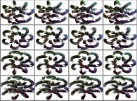 A set of 4x3 stereograms of a fractal 7-foil torus knot 