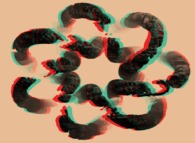 Anaglyph -blue=right, red=left- of a fractal 7-foil torus knot 