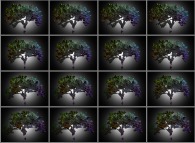 A set of 4x3 stereograms of a fractal-fractal tree 