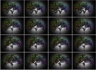 A set of 4x3 stereograms of a fractal-fractal tree 