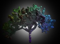 A fractal-fractal tree 