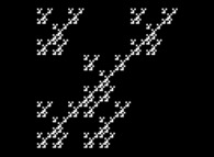 An arbitrary square bidimensional fractal Dendrite -iteration 4- 