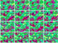 Dynamics of a bidimensional fractal structure 