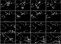 Bidimensional cross-sections inside a fractal structure 