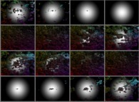 Dynamical tridimensional fractal structure 