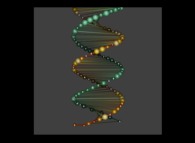The DNA of Mathematics -the 60 first digits of 'pi' and 'e'- 