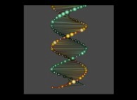 The DNA of Mathematics -the 60 first digits of 'pi' and 'e'- 