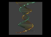 The DNA of Mathematics -the 60 first digits of 'pi' and '1/pi'- 
