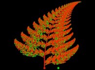 A bidimensional fern computed by means of an 'Iterated Function System' -IFS-