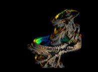 Artistic view of a quaternionic Julia set -tridimensional cross-section-