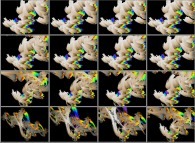 Zoom in on a quaternionic Julia set -tridimensional cross-sections-