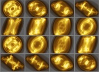 2.pi rotation about the Y axis of a quaternionic Julia set -tridimensional cross-sections-