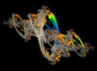 The quaternionic Julia set computed with A=(-0.58...,+0.63...,0,0)-tridimensional cross-section-