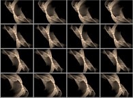 A set of 4x3 stereograms of the quaternionic Julia set computed with A=(0,1,0,0)-tridimensional cross-section-