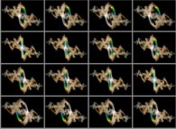 A set of 4x3 stereograms of the quaternionic Julia set computed with A=(-0.58...,+0.63...,0,0)-tridimensional cross-section-