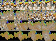 Zoom in on a quaternionic Julia set -tridimensional cross-sections- 