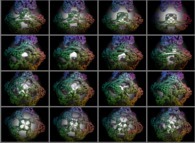 Pi/2 rotation about the X axis of a pseudo-quaternionic Julia set ('MandelBulb' like: a 'JuliaBulb')-tridimensional cross-section-