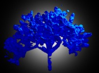 Un arbre-éponge bleu -un hommage à Yves Klein- 