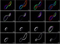 Computation of the Lorenz attractor on three different computers (the Red one, the Green one and the Blue one: sensitivity to rounding-off errors)