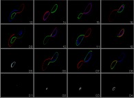 The Lorenz attractor -sensitivity to initial conditions (the Red one, the Green one and the Blue one)- 