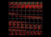 Bidimensional zoom in on the Verhulst dynamics 