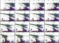 A set of 4x3 stereograms of a tridimensional visualization of the Verhulst dynamics 