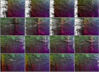 A set of 4x3 stereograms of a tridimensional visualization of the Verhulst dynamics 