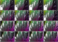 A set of 4x3 stereograms of a close-up on a pseudo-octonionic Mandelbrot set (a 'Mandelbulb')-tridimensional cross-section- 