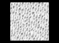 Tridimensional integration of the phase rotation of the wavelet transform of a bidimensional fractal field 