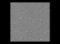 Phase rotation of the wavelet transform of a bidimensional fractal field 