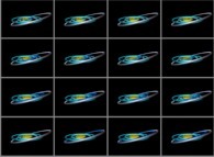 The journey of an Earth-like planet (dark blue)from Pluto (grey) to the Sun (yellow) 