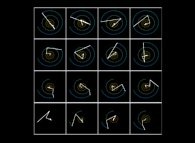 The distances Sun-Earth-Jupiter-Saturn-Uranus-Neptune during one neptunian year 