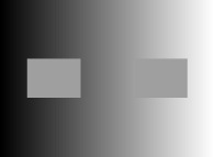 Deux rectangles gris identiques devant une échelle de gris 